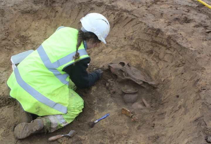 Archaeology skeleton image  002 