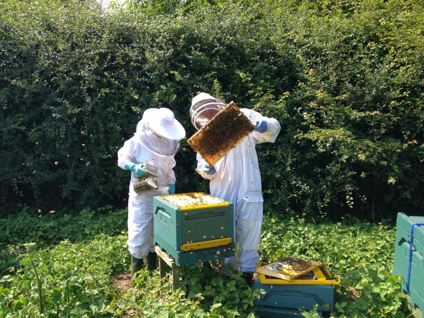 Hive Minds Bee Keeping Outfit