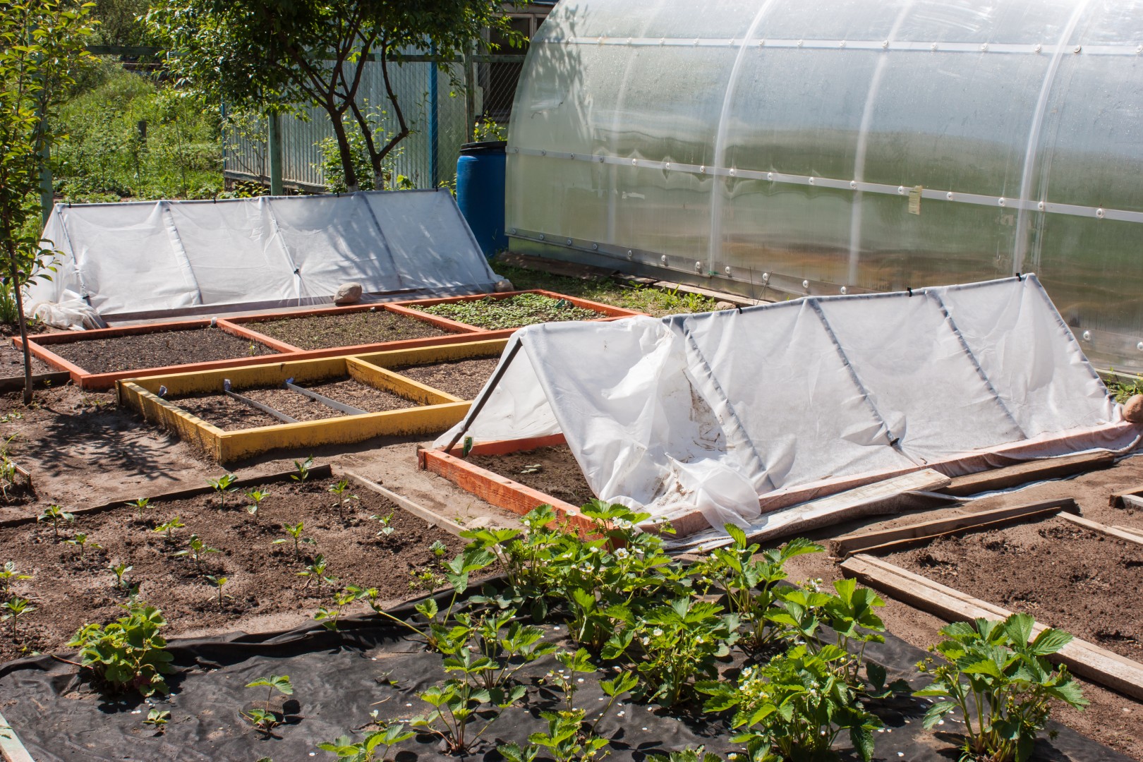 Kitchen Garden Design Beds with Paths