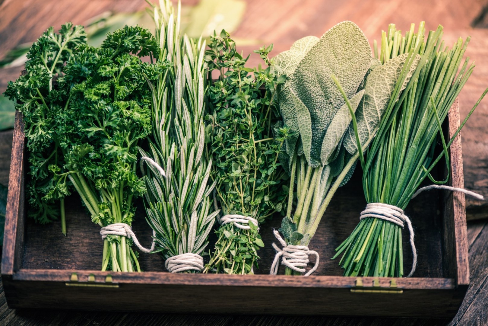 Kitchen Garden Design Herbs in box Rosemary Sage Parsley