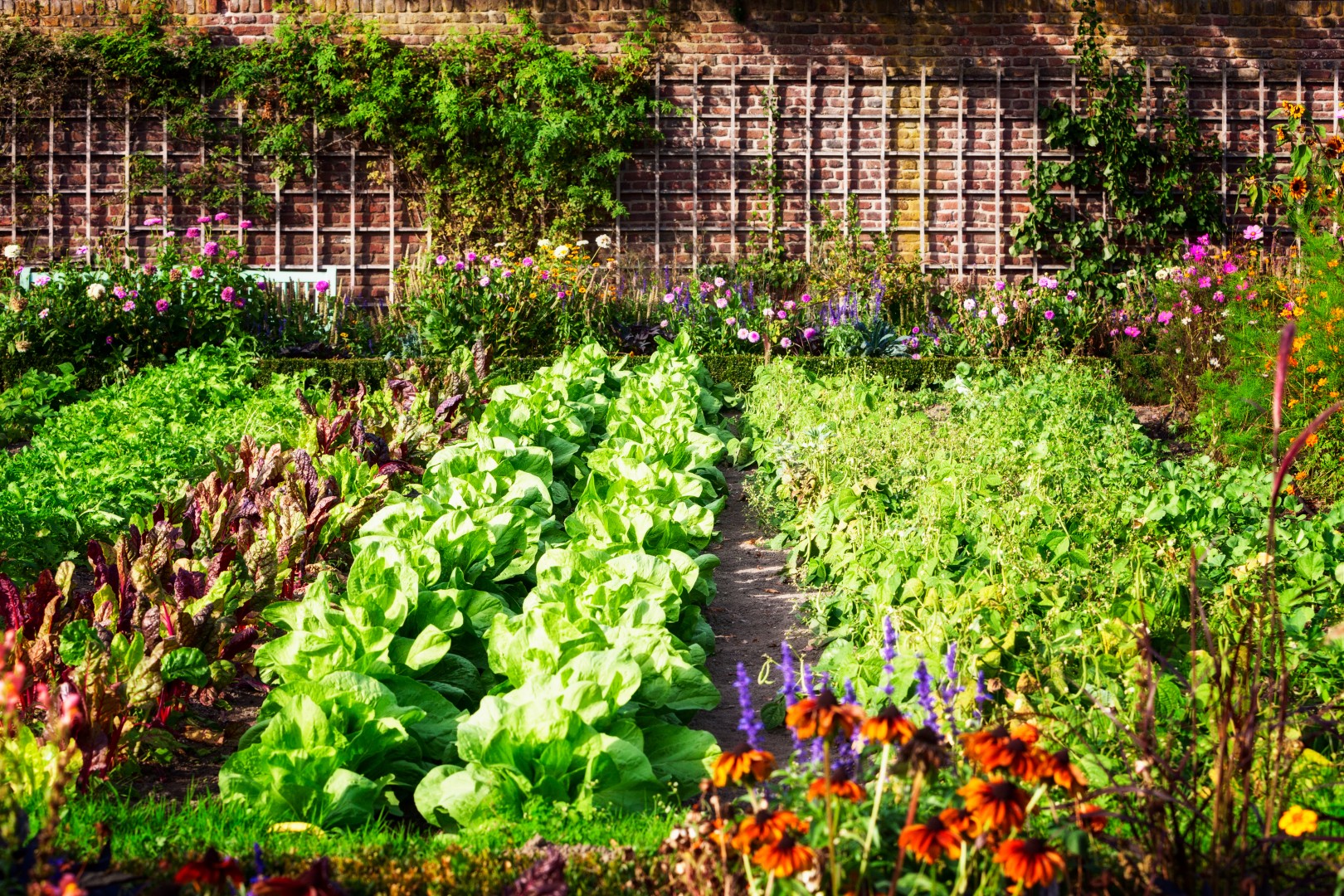 Kitchen Garden Design Vegetables