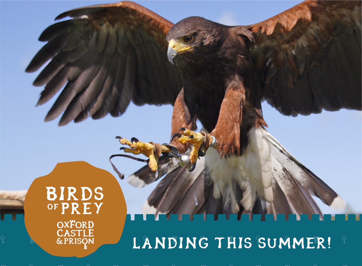 OCP Birds of Prey Facebook