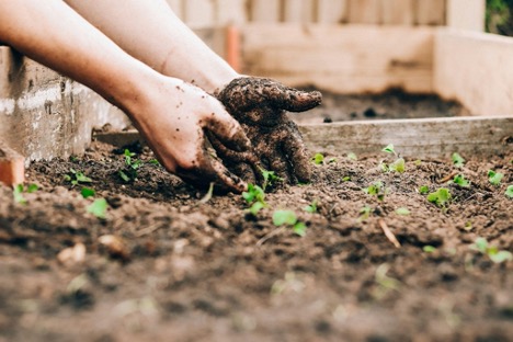 gardening