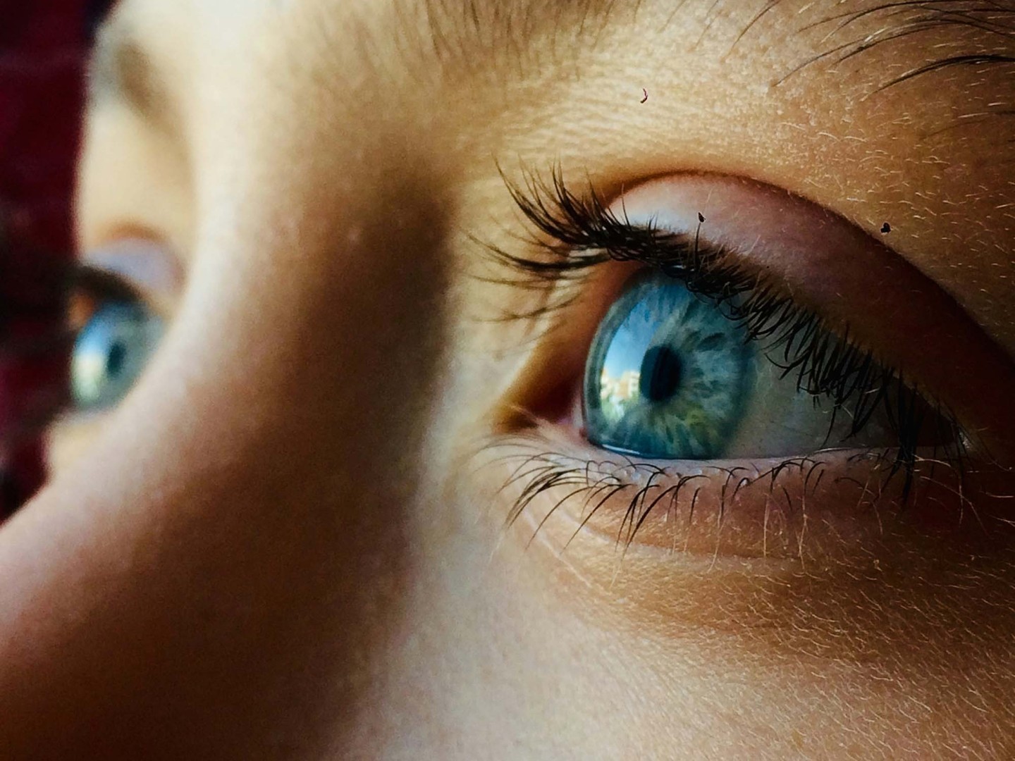 contact lenses