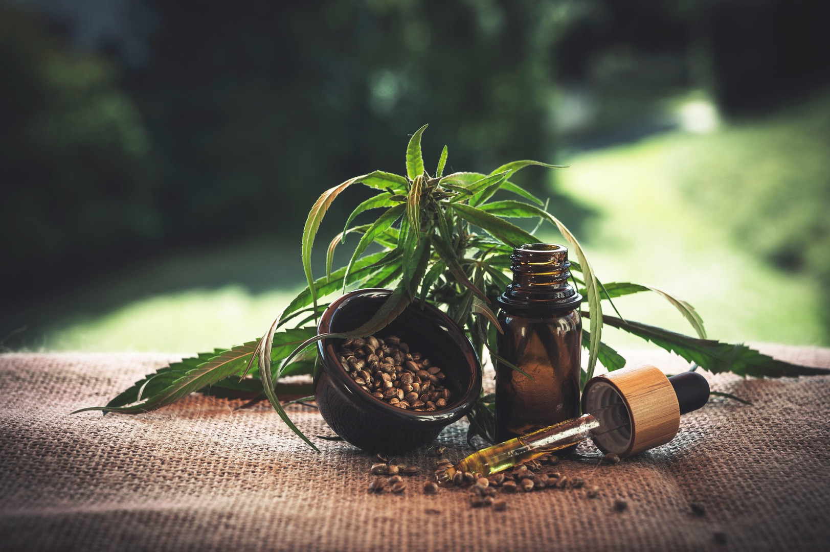 Cbd oil image