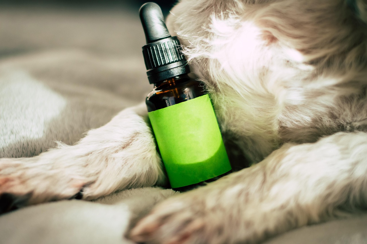 CBD Oil