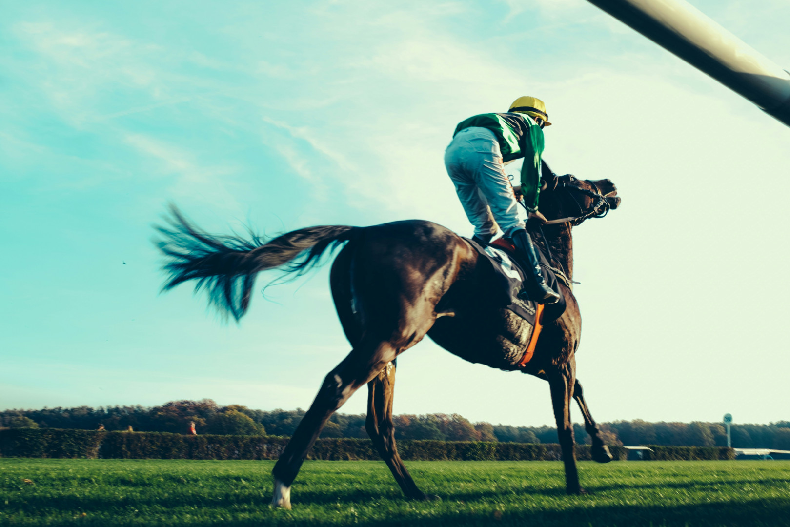 mike kotsch PiP3mbzg6To unsplash