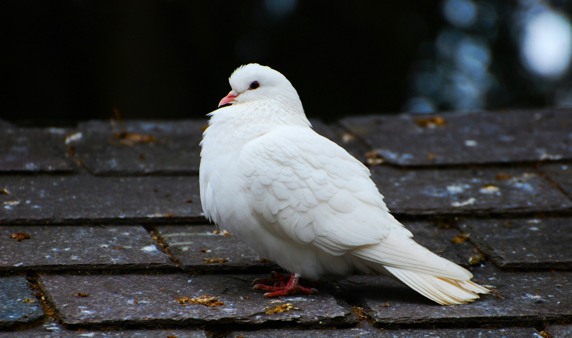 kerin gedge CAYK6KR2Z9A unsplash