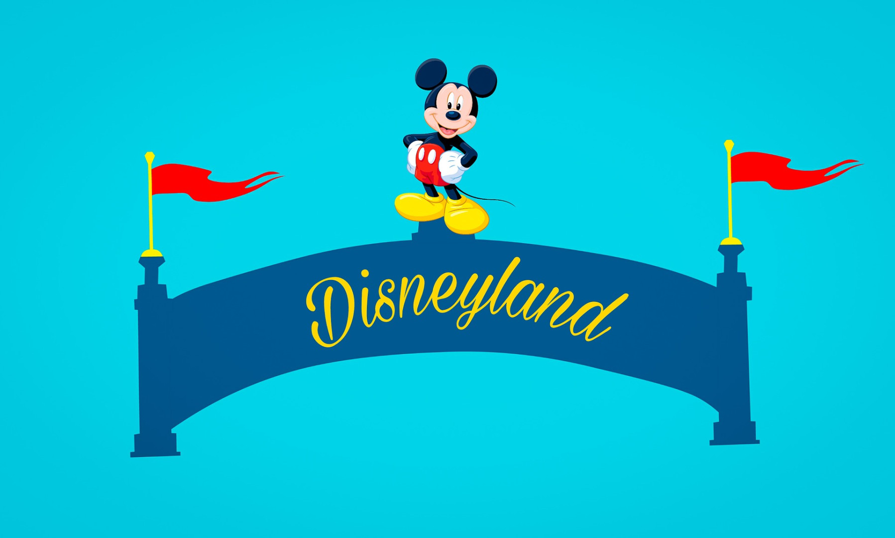 mohamed hassan disneyland 3080005 1920