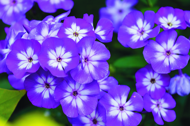 AdobeStock 169029528