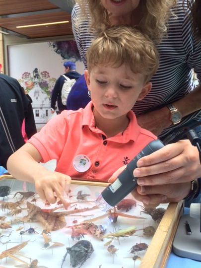 Operation Earth Child examining bugs