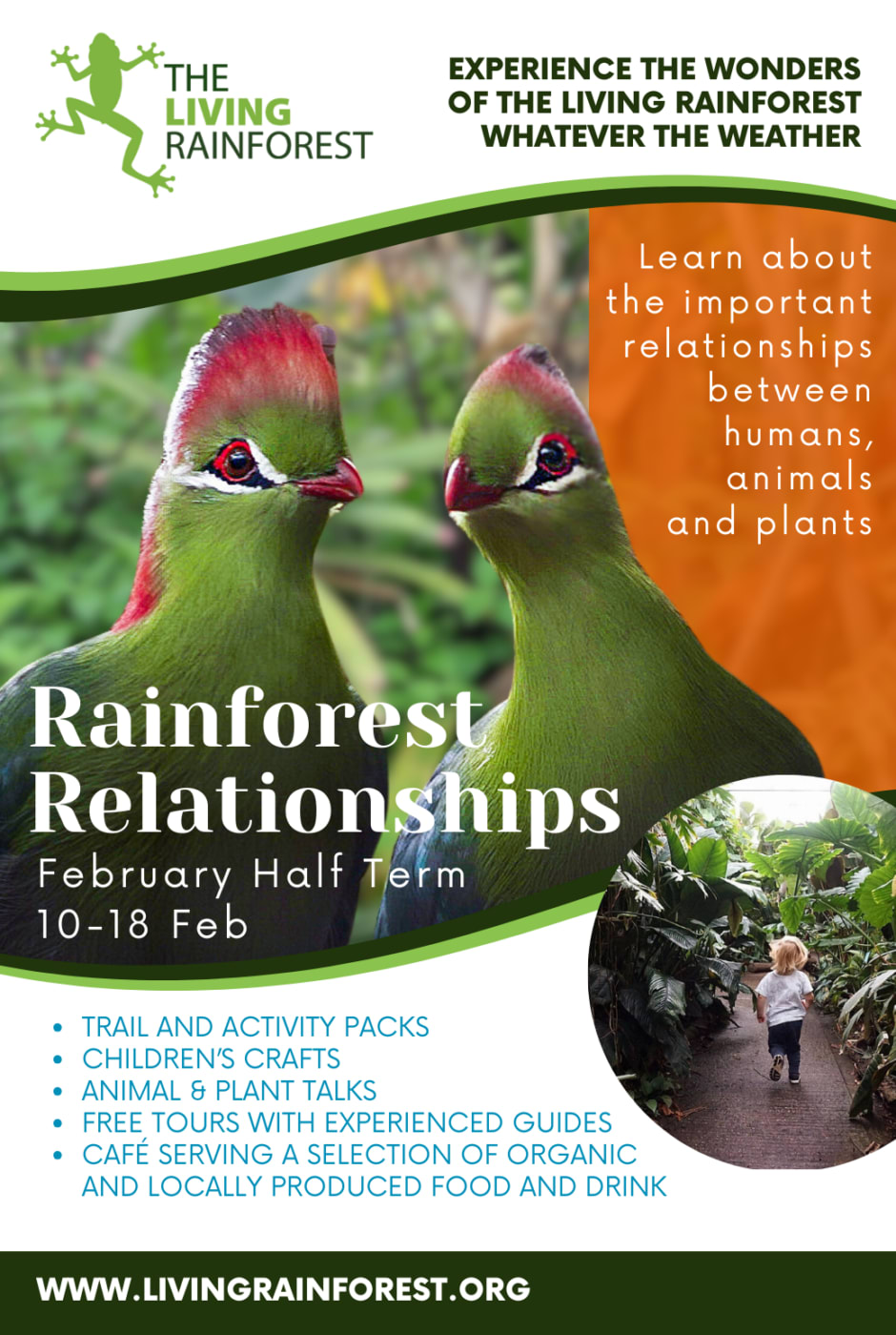Rainforest Relationships Feb Half Term 2024 940x1400 mxstsj