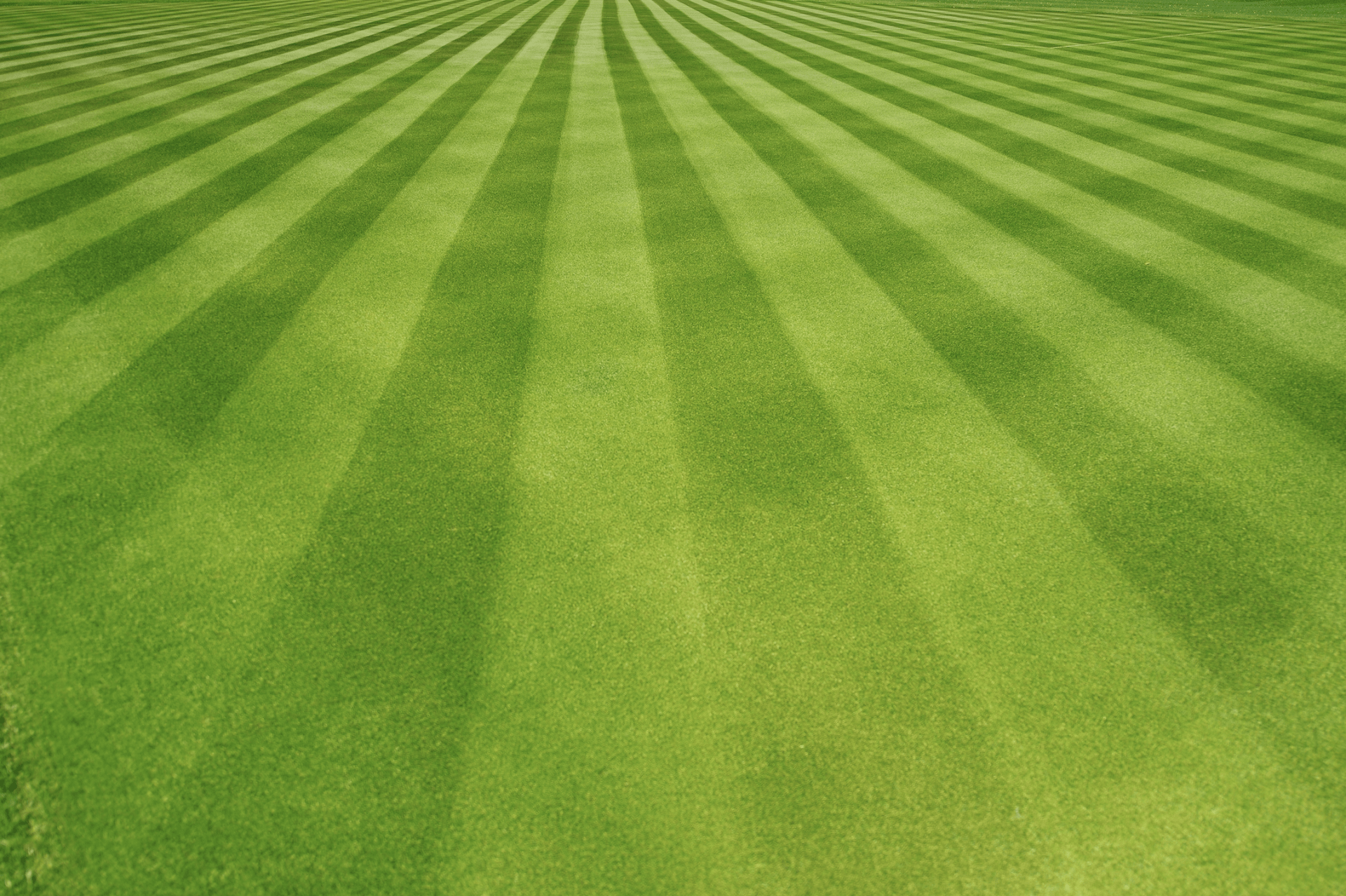 Screenshot 2020 11 23 at 11.58.58