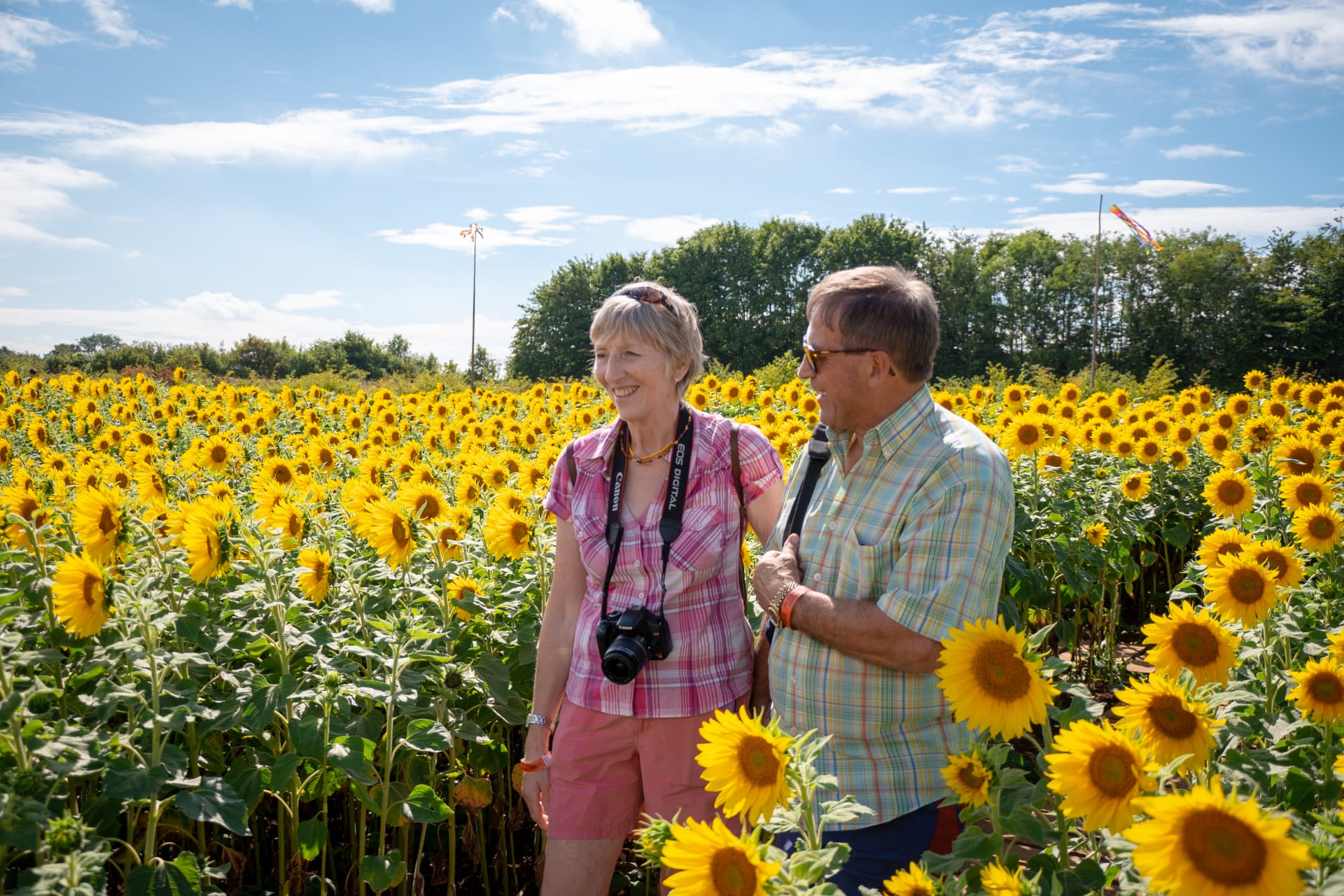 Sunflower Festival sqokof