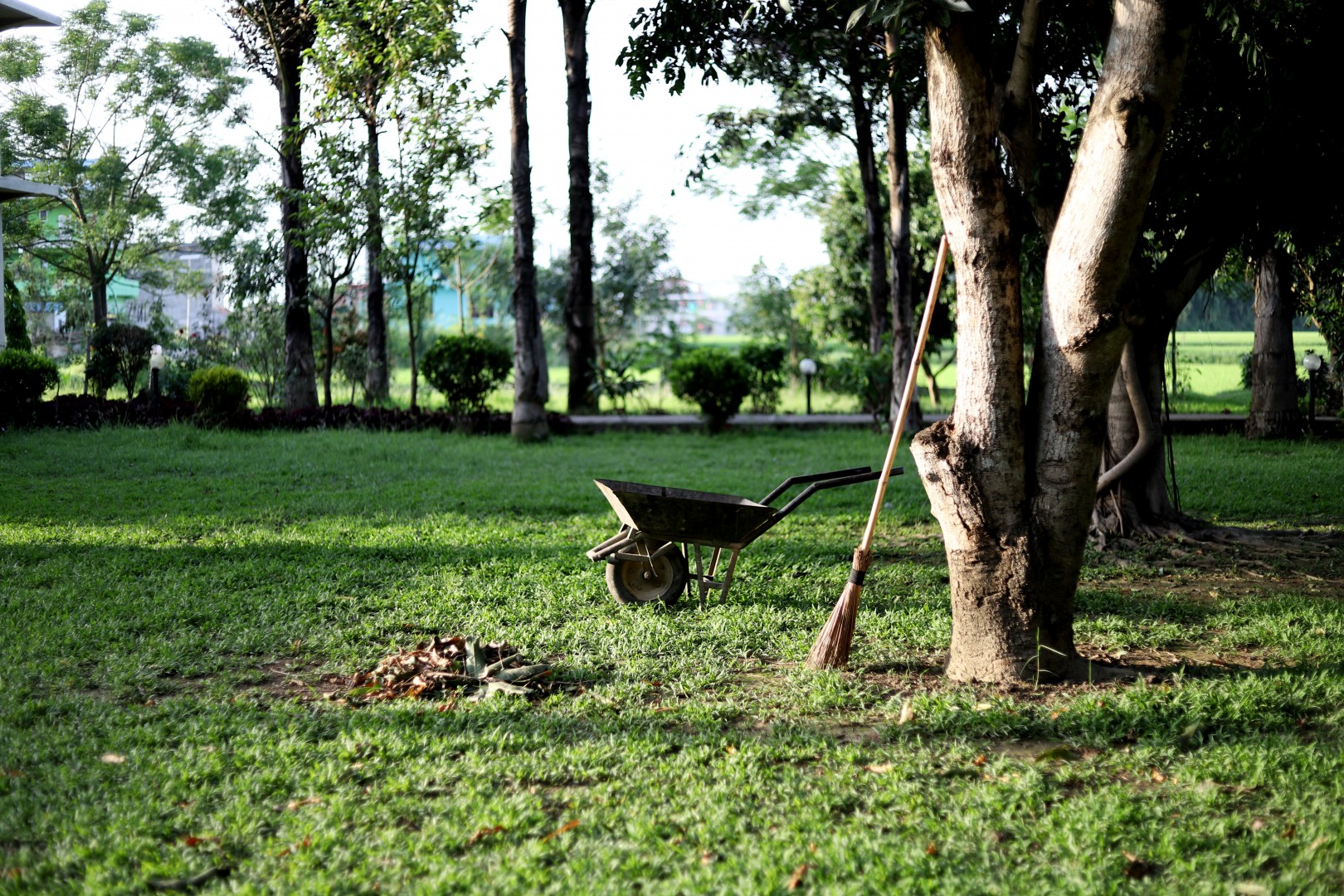 How to Design a Garden Chris Edgar Wheelbarrow