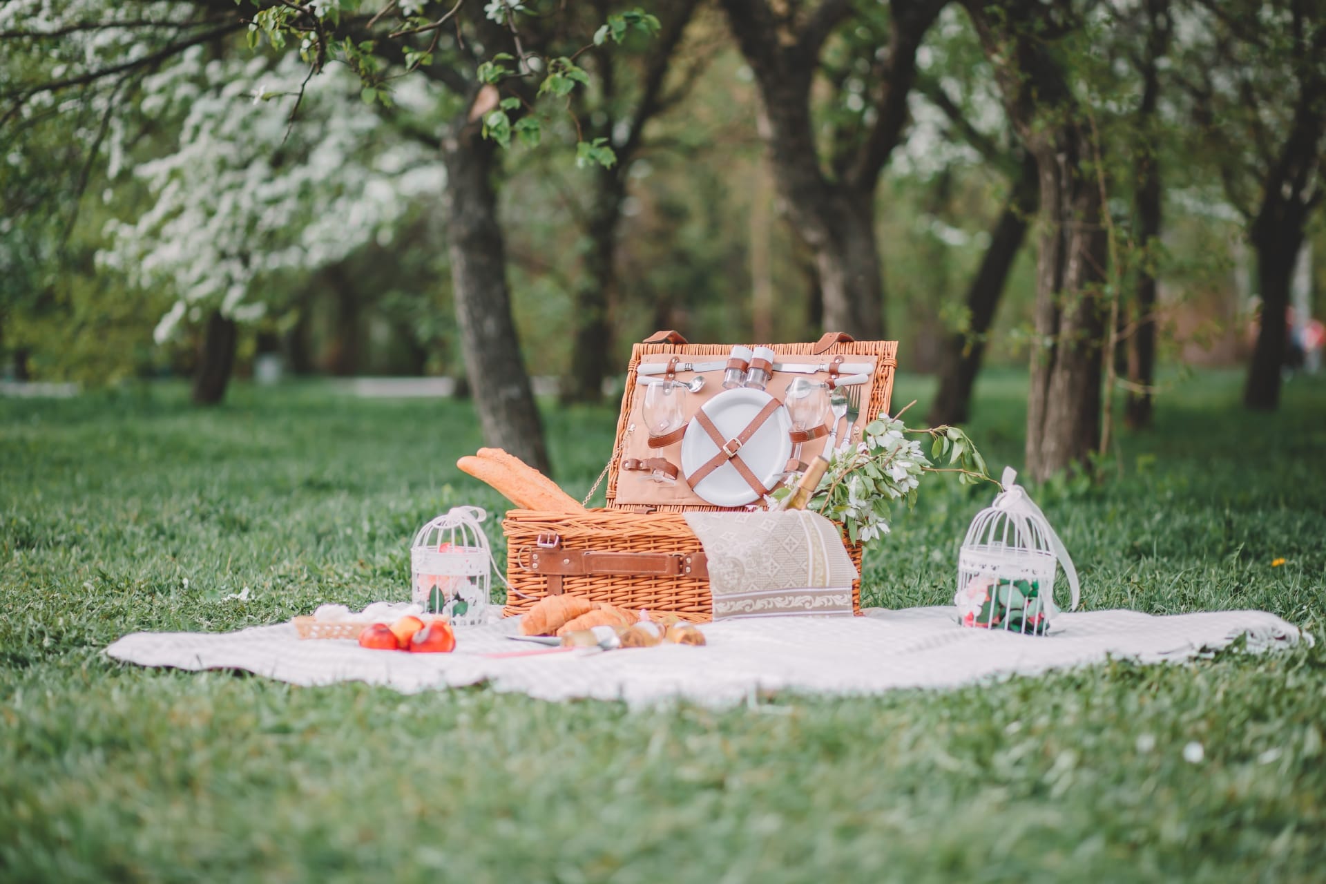 Picnic Basket