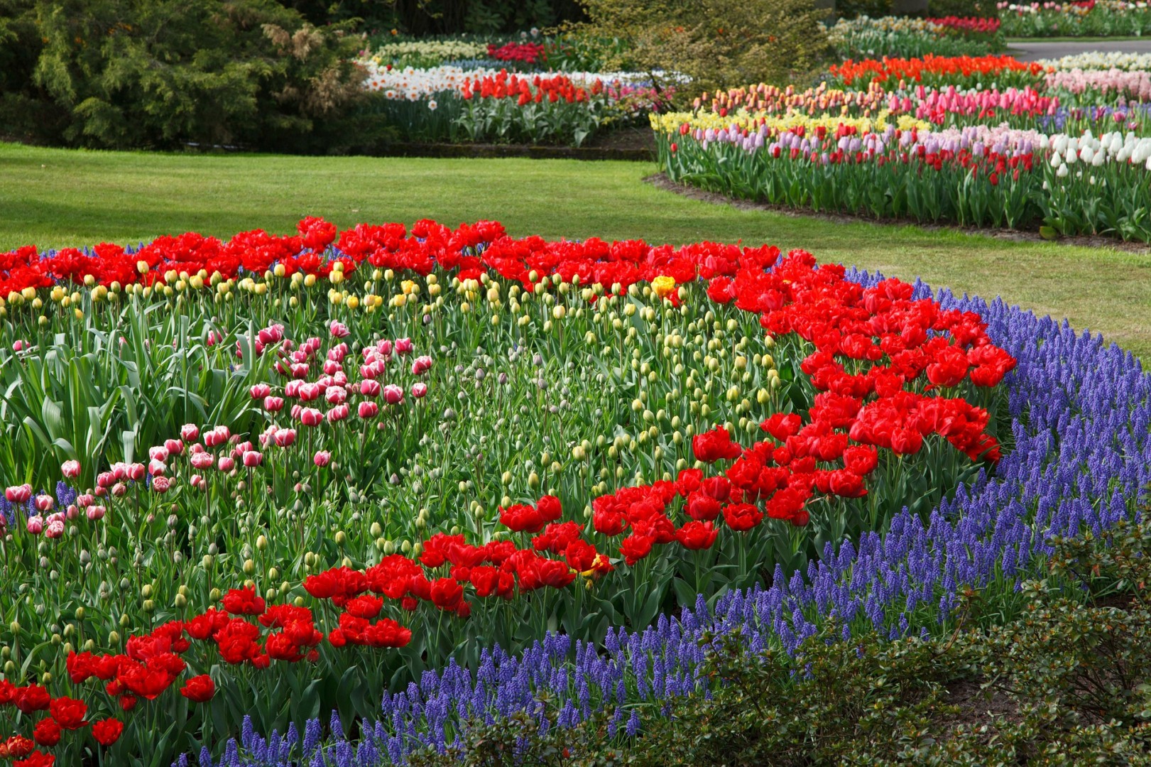 How to Design a Garden Chris Edgar Tulips